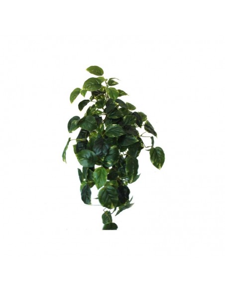 Mata colgante Pothos