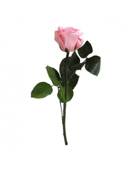 Rosa preservada mini A Granel BLANCA