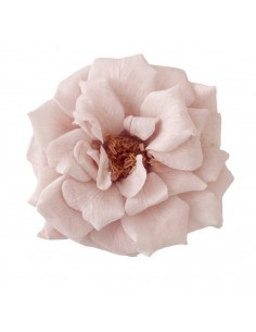 Rosa silvestre 4-5cm(Ø)  12 unidades cherry blossom