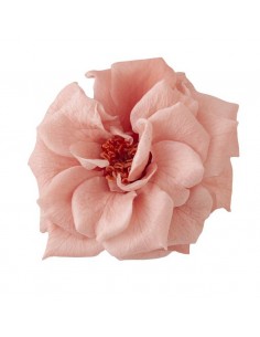Rosa silvestre 4-5cm(Ø)  12 unidades rosa/salmón