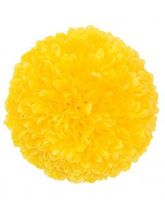 Pong pong preservado 9 unidades 4 cm (Ø) amarillo