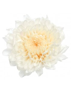 Crisantemo kogiku preservado 12 unidades 4.5cm (Ø) blanco
