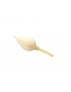 Flor de loto blanco 6cm (h) 4cm (Ø) 6 unidades