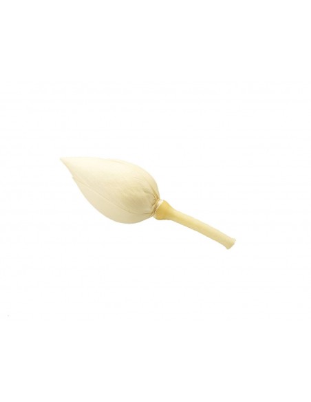 Flor de loto blanco 6cm (h) 4cm (Ø) 6 unidades