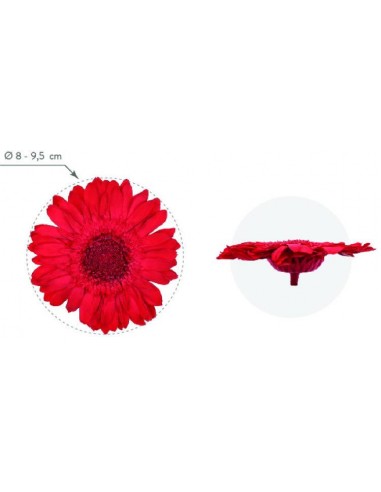 Gerbera Premium Roja x4