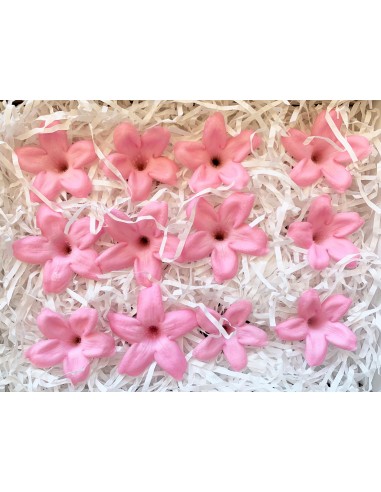 Jazmin preservado 12 unidades 4cm(Ø) rosa pastel
