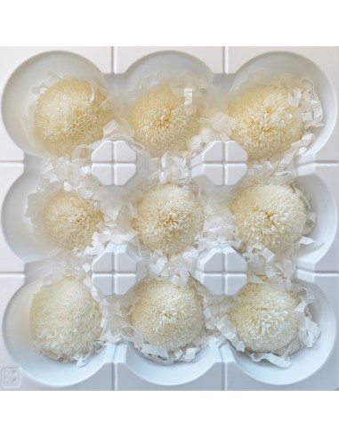 Pong pong preservado 9 unidades 4 cm (Ø) blanco