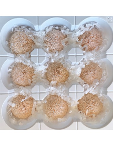 Pong pong preservado 9 unidades 4 cm (Ø) champagne