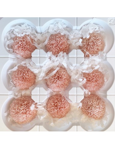 Pong pong preservado 9 unidades 4 cm (Ø)...