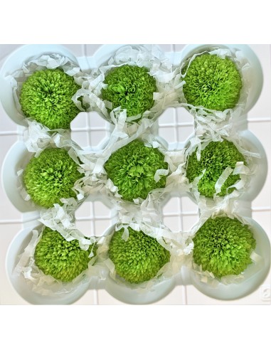 Pong pong preservado 9 unidades 4 cm (Ø) verde