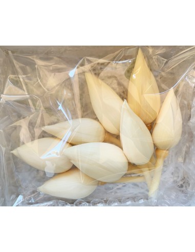 Flor de loto blanco 5cm (h) 3cm (Ø) 8 unidades