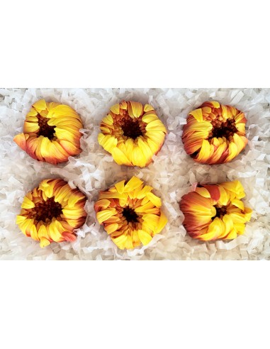 Crisantemo ringiku 6 unidades 5 cm(Ø)...
