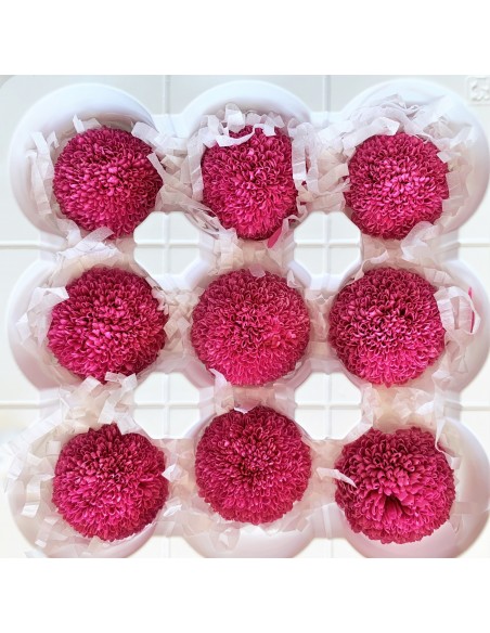 Pong pong preservado 9 unidades 4 cm (Ø) fucsia oscuro