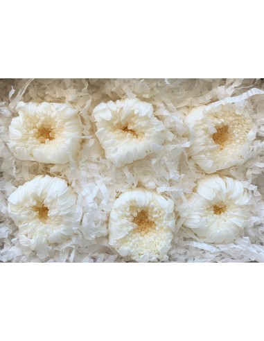 Crisantemo ringiku 6 unidades 5cmØ blanco perla