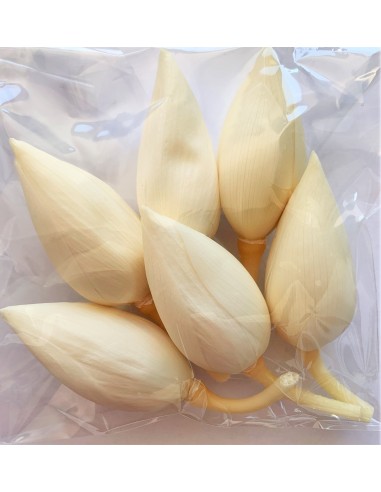 Flor de loto blanco 6cm (h) 4cm (Ø) 6 unidades