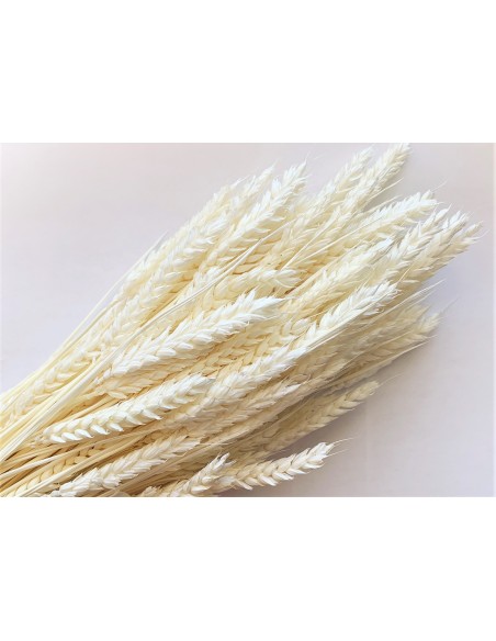 RAMILLETE TRIGO FLOR BLANCO 200 g. x  80 cm.