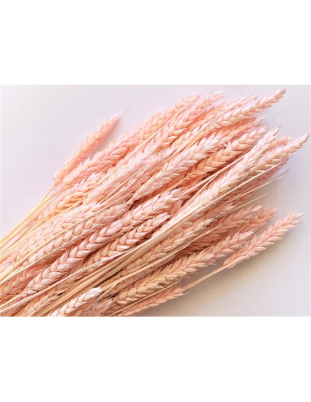 RAMILLETE TRIGO FLOR ROSA CLARO  200 g. x  80 cm.