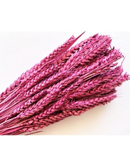 RAMILLETE TRIGO FLOR MALVA  200 g. x 80 cm.