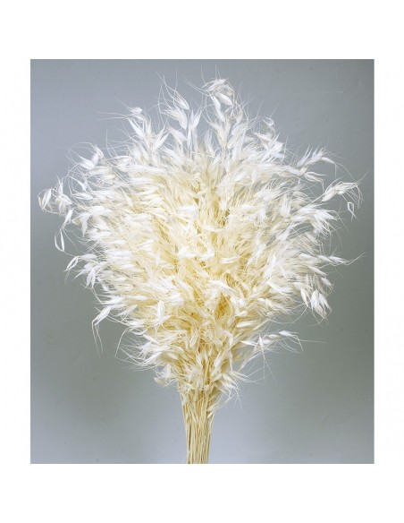 Avena salvaje blanca 150G