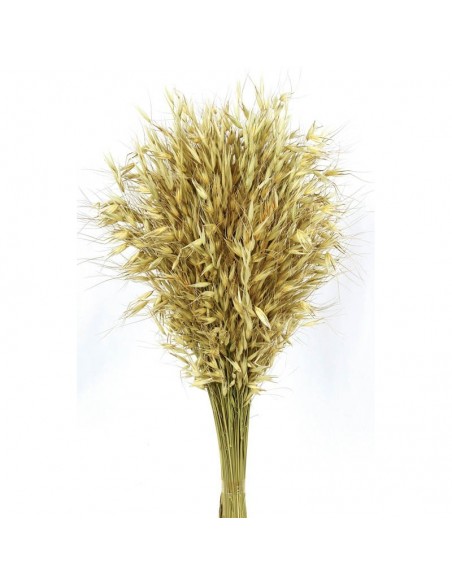 Avena salvaje natural 150G