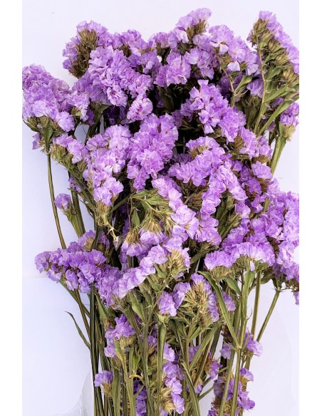 Statice sinuata lavanda