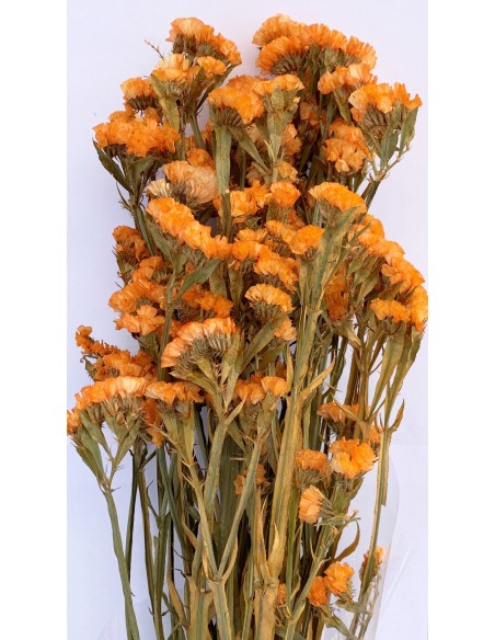 Statice sinuata naranja
