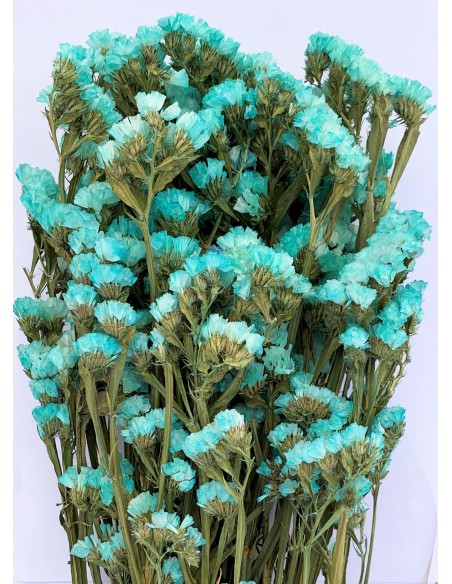 Statice sinuata verde agua