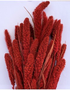 Setaria 75cm rojo coral 180g
