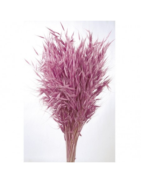 copy of Avena salvaje blanca 150G