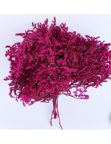 copy of Tatarica amarilla pastel