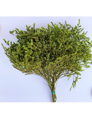 copy of Tatarica amarilla pastel