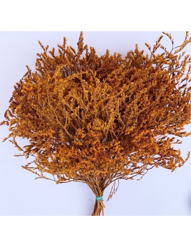 copy of Tatarica amarilla pastel