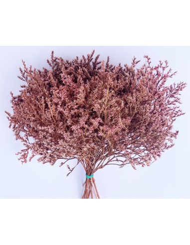 Tatarica color ROSA paquete grande