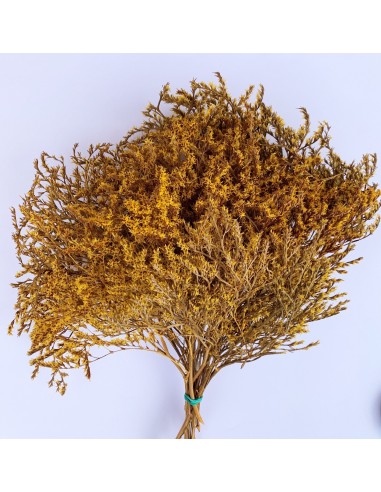 copy of Tatarica amarilla pastel