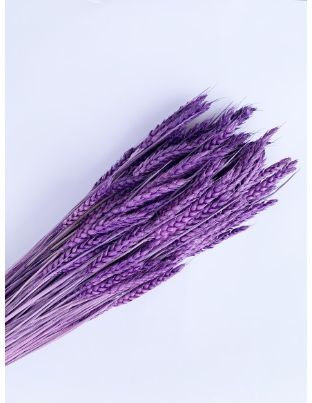 RAMILLETE TRIGO FLOR LILA 200 g. x 80 cm.