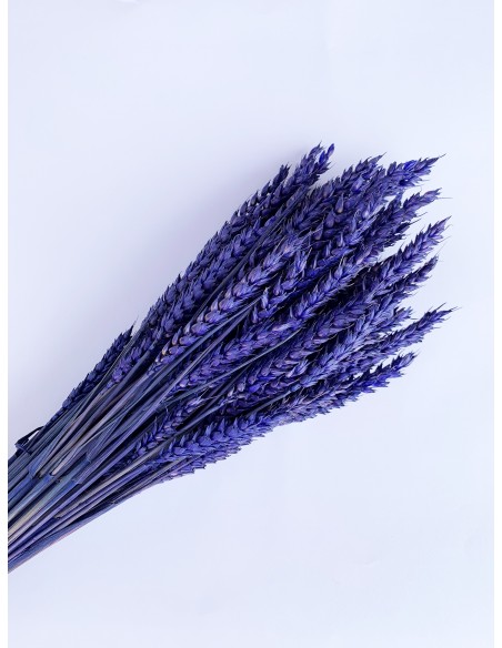 copy of RAMILLETE TRIGO FLOR AMARILLO CÁLIDO 200 g. x 80 cm.