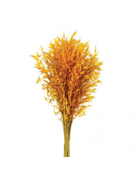 copy of Avena salvaje blanca 150G