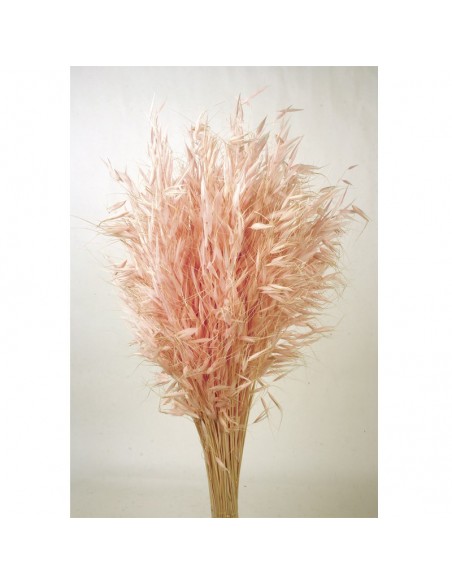 Avena salvaje rosa pastel 150G