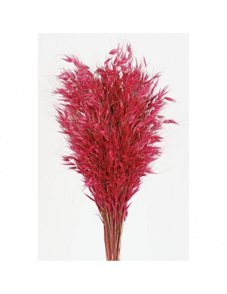 copy of Avena salvaje blanca 150G