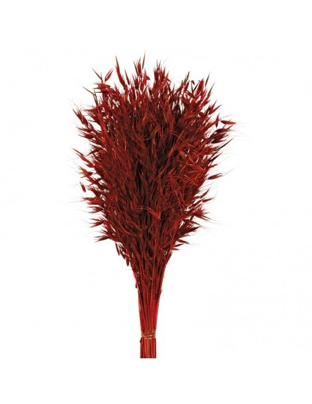 copy of Avena salvaje blanca 150G