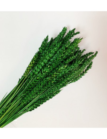 copy of RAMILLETE TRIGO FLOR AMARILLO CÁLIDO 200 g. x 80 cm.