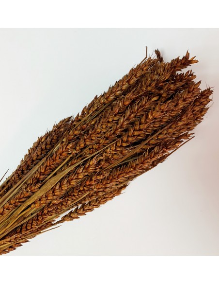 copy of RAMILLETE TRIGO FLOR AMARILLO CÁLIDO 200 g. x 80 cm.