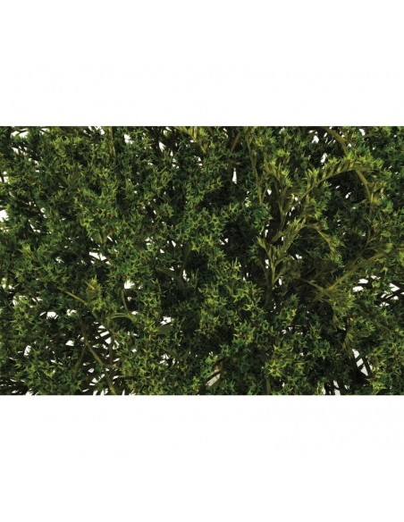 copy of Tatarica amarilla pastel