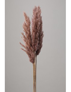 copy of Plumero reed natural