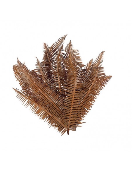 Helecho seagul burdeos