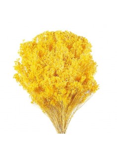 Brooms blum seco amarillo 100g