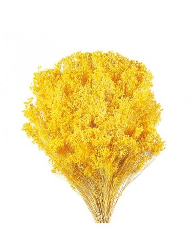 Brooms blum seco amarillo cálido 100g