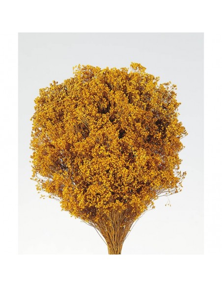 Brooms blum seco mostaza 100g