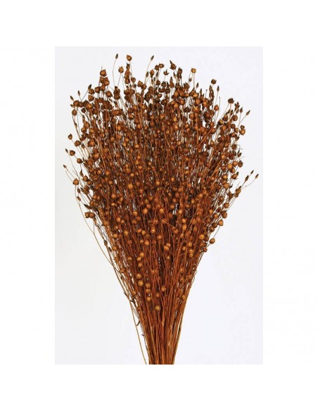 Lino marrón 150g