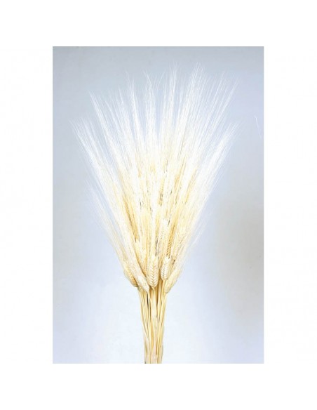 copy of Trigo (Triticun) natural oscuro 200g